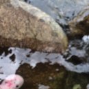 단양팔경투어 | [단양] 선암계곡 한적한 곳에서 즐기는 신선놀음 시원하고 맑은 계곡 충북여행 단양팔경투어