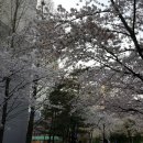 협동조합아리송 이미지