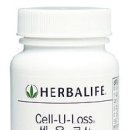 데이앤나이트 이미지