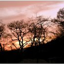 저녁나절 이미지