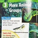 1-13 More animal groups 이미지
