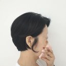 스타일조은 이미지