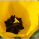 생태연못 이미지