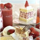 베리코스 이미지