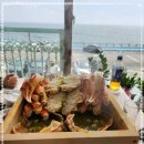 동해애견센터 이미지