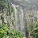 강정동-75 | 제주도 남쪽 코스, 장마철 가볼만한 남서쪽 여행