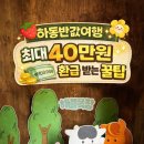 정금농장 | 하동반값여행 꿀팁｜최대40만원 환급받기✨