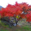 금오산환종주 25km(갈항코스) / 비밀의정원에 들다. 이미지