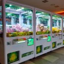 인형 뽑기방 이미지