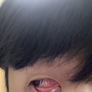 서가족발 | [공지] 자영업자와 블로거 투잡 인생의 3월 기록