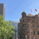 별빛주유소 | [호주 시드니] 블루마운틴 투어(페더데일선셋별빛), 퀸빅토리아빌딩 스티치커피, 그릴드버거