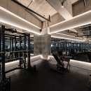 빽짐헬스 이미지