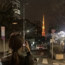 차정원 카카오 검색결과