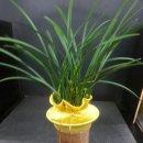 우림약품 이미지