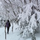 겨울나그네 이미지