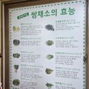 시골생삼겹우렁쌈밥 | 김종국도 다녀간~~오창밥집[충북 청주]시골생삼겹우렁쌈밥