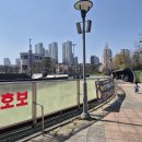 동탄센트럴파크 인라인스케이트장 이미지