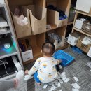 날으는탕수육 이미지