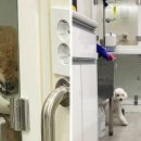 상상동물병원 이미지