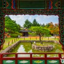 청송흑염소농장 이미지