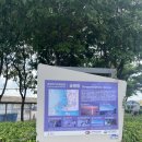 광장회직판장 | 경기도 가볼만한곳 근교드라이브추천 궁평항 수산물직판장 회센터 방문후기