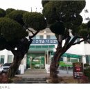 평해읍사무소 이미지