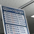 더나은펫 | 김포 파충류샵 '도마뱀집사TV', 펫테일게코 전문 분양샵 방문 후기