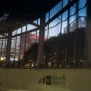 (주)부산롯데호텔 | [롯데호텔 부산 라세느] 평일 디너 내돈내산 후기