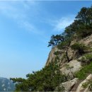 푸른초목장 | 북한산 / 더운 날 염초능선