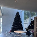 (주)커피캐슬 | 거제도맛집 매미성카페 매미캐슬 내돈내산 후기