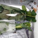 세복농장 | 농라 - 세복농원 생화 구매 후기 (생화 농장에서 직접 택배로 받을 수 있어요)