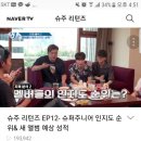 슈턴즈 이미지