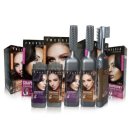 프리지아 이미지