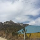 혜인목장 이미지