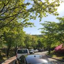 고덕생활체육공원 화장실 이미지