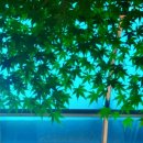 낙천대세탁소 이미지