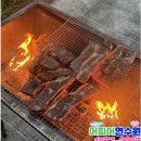 경기도 야유회 장소 300명 가능