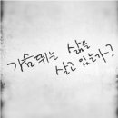 캘리그라피(자격증) 이미지