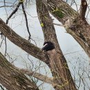 천흥수퍼 이미지