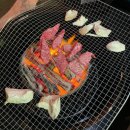 에코펜션 | [내돈내산 강화도 숙소 추천] 벚꽃 여행 후 숙박한 청결 끝판왕 에코 스파펜션&amp;글램핑 솔직 후기 🏡