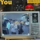 똥꼬발랄 이미지