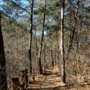 청도여관 | 청도여행(사리암과 운문사)