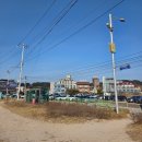 선녀와 강아지 | 인천 을왕리 선녀바위해수욕장 주차 후 방문 후기