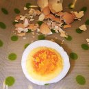 큰나무농장 이미지