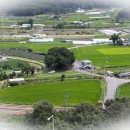 대전둘레산길잇기 일요산행 제11구간 (구봉산길) 이미지