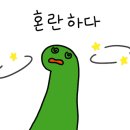 서정성세의원 이미지