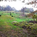 명곡체육공원 이미지