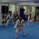 리듬태권도 | 관악구성인태권도 품새 수업 후기: 동작 연결·호흡·리듬의 중요성