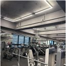 머스트휘트니스 별내점 이미지