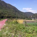 대강면사무소 이미지